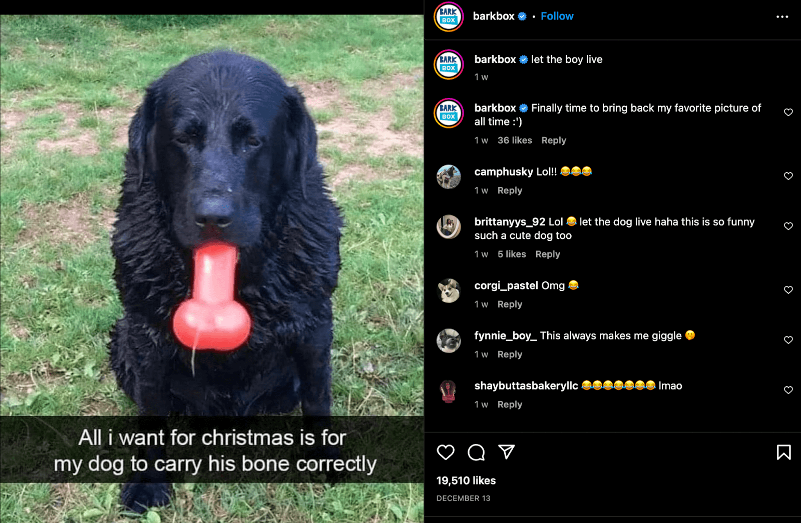 Social image of a dog with a phallic looking toy bone in its mouth and the social media reactions to the image"