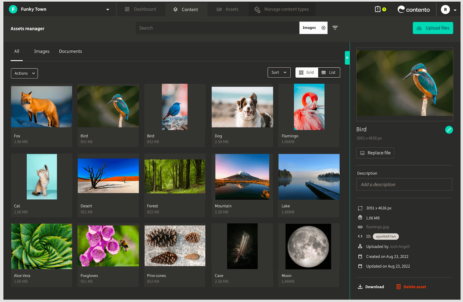 Asset Manager of Contento, a Headless CMS