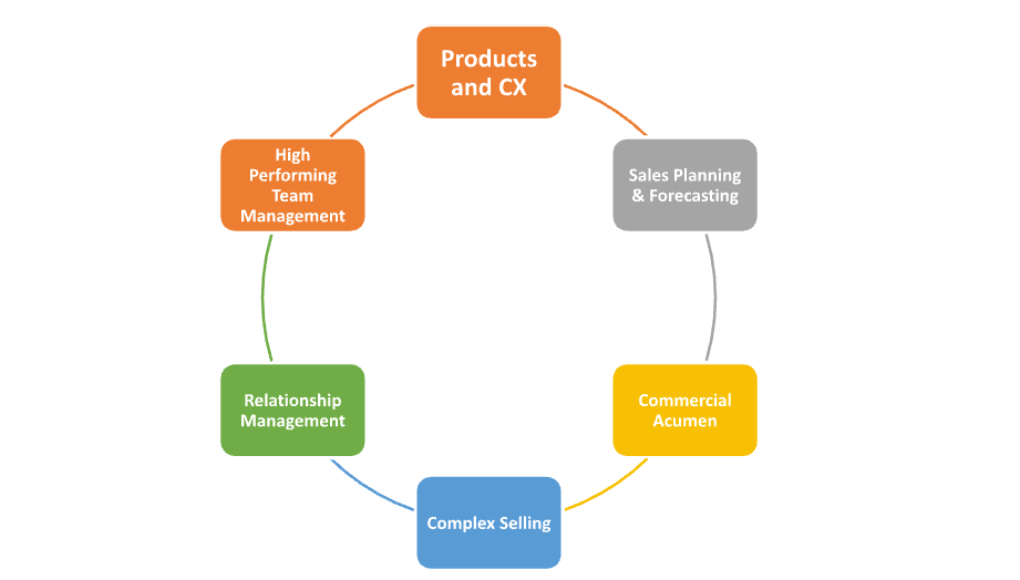 Sales competency overview.