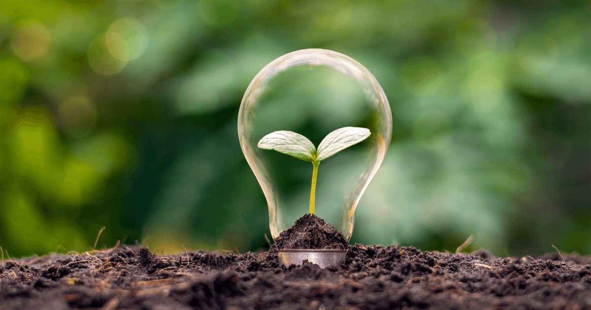 Why sustainability should be a top priority for marketing leaders